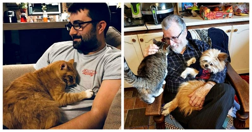 26 fathers who were against "that stupid cat", but something went wrong