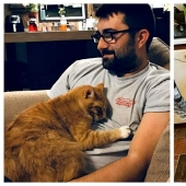 26 fathers who were against "that stupid cat", but something went wrong