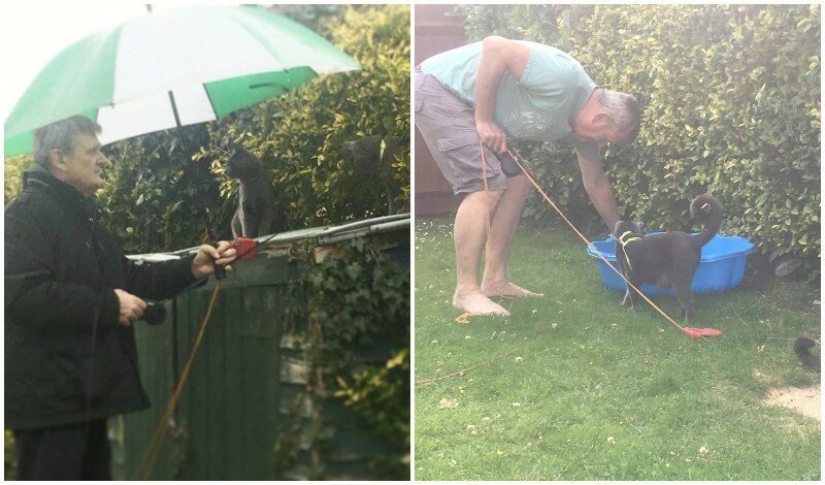 26 fathers who were against "that stupid cat", but something went wrong