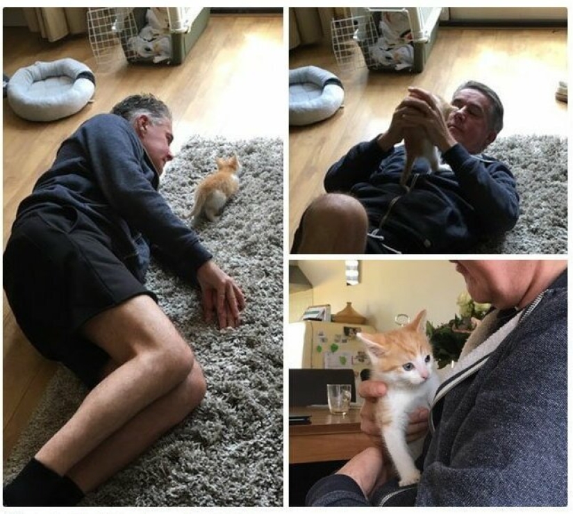 26 fathers who were against "that stupid cat", but something went wrong