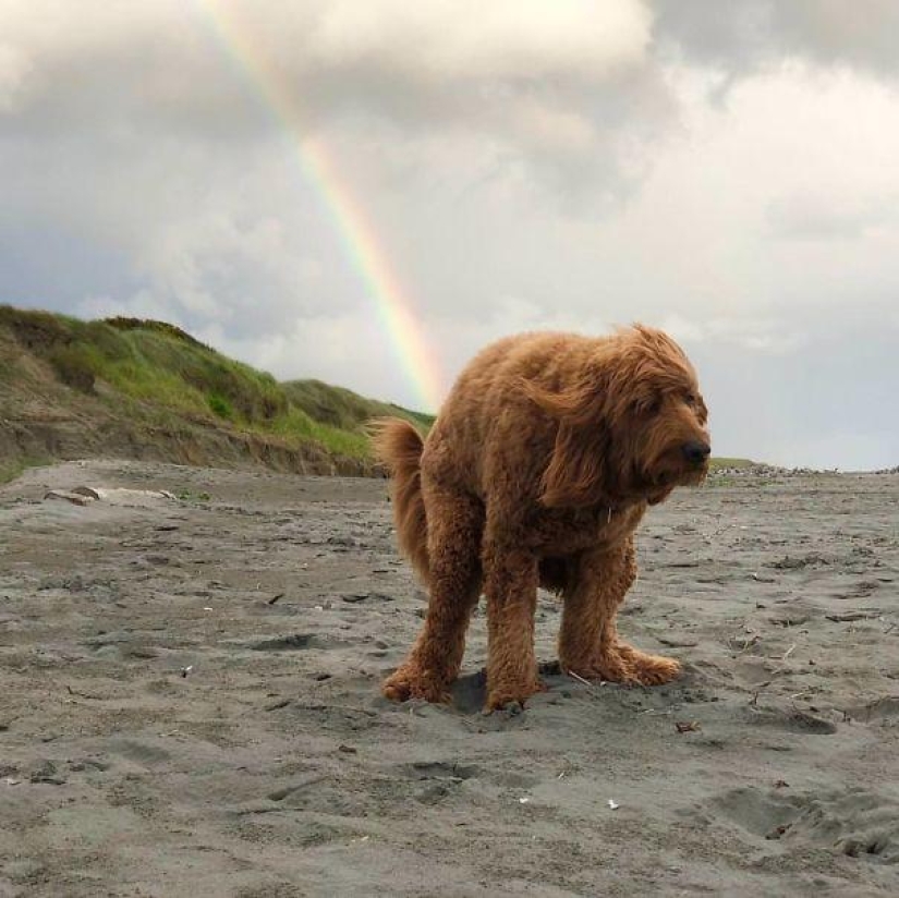 26 fotos de cuando el fondo es mucho más divertido que el anterior