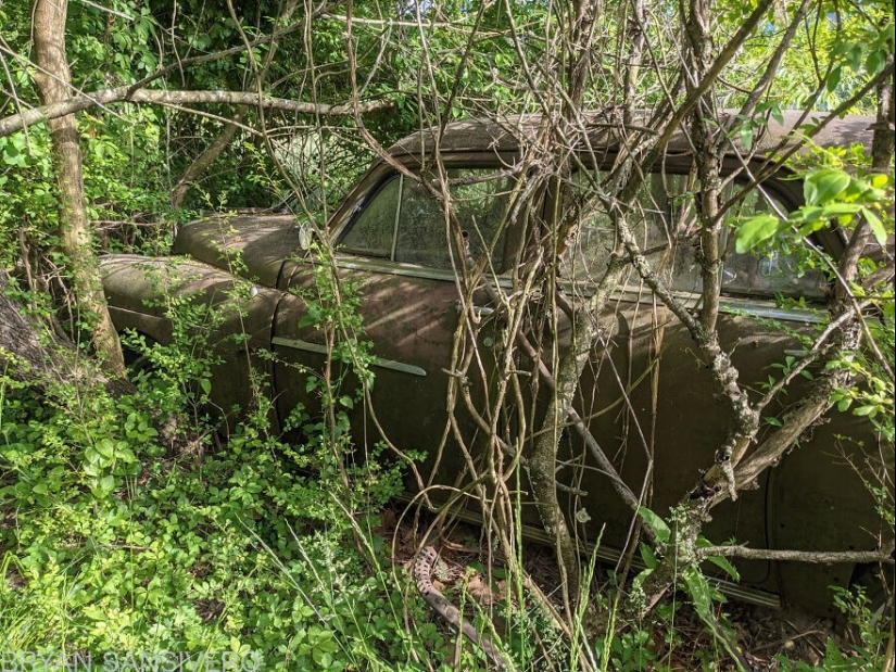 27 creepy photos of an abandoned farmstead