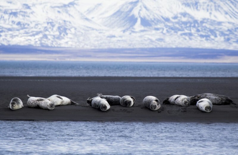 28 fotos de Islandia en el amor con su fotógrafo