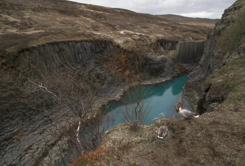 28 fotos de Islandia en el amor con su fotógrafo