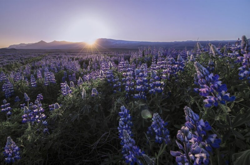 28 fotos de Islandia en el amor con su fotógrafo