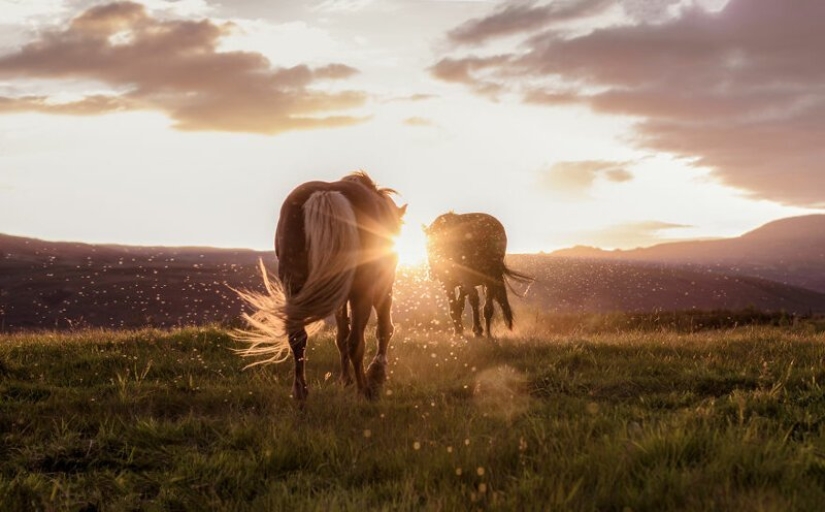 28 fotos de Islandia en el amor con su fotógrafo