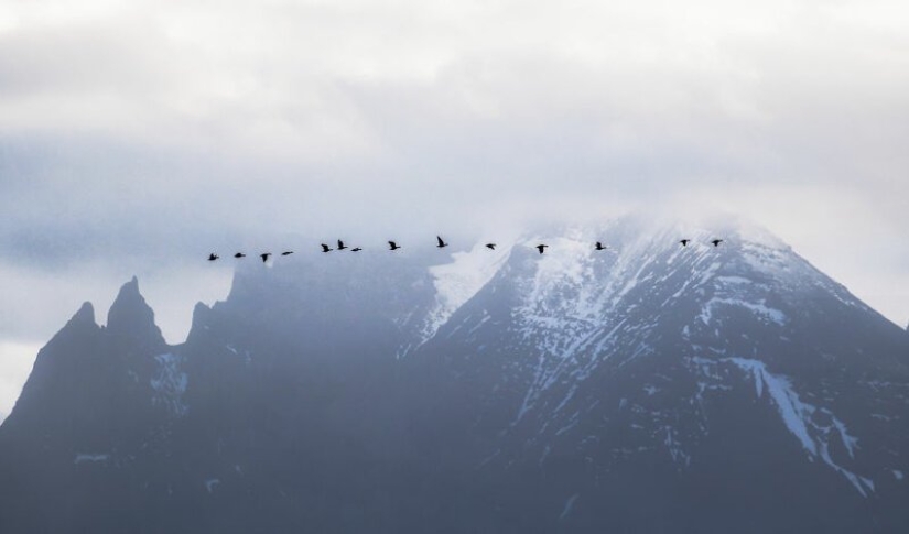 28 fotos de Islandia en el amor con su fotógrafo