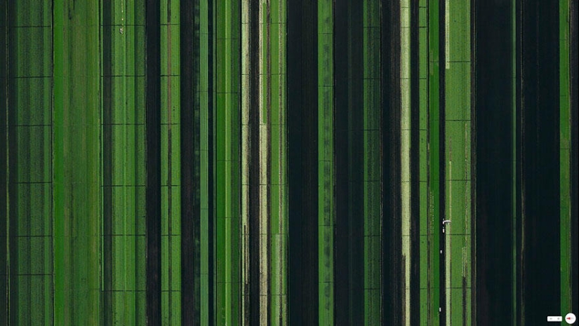 30 amazing satellite photos that will change your view of the world