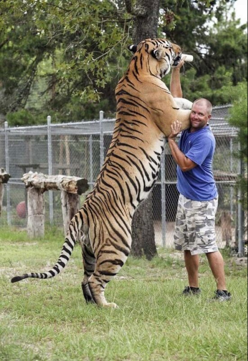 30+ animales, real tamaños que le sorprenderá