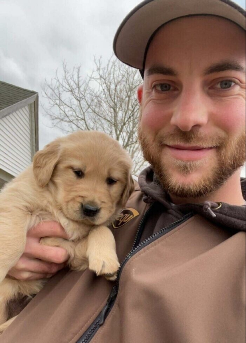 30 cute photos about the love of dogs for couriers