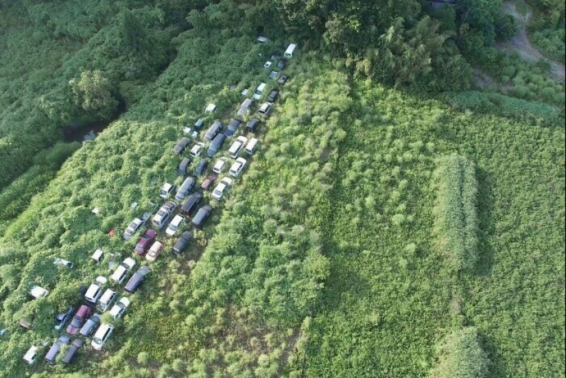 30 ejemplos de cómo la naturaleza de ganar la batalla contra la civilización