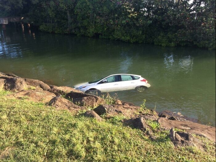 30 ejemplos de cómo se ve un mal día del propietario de un automóvil