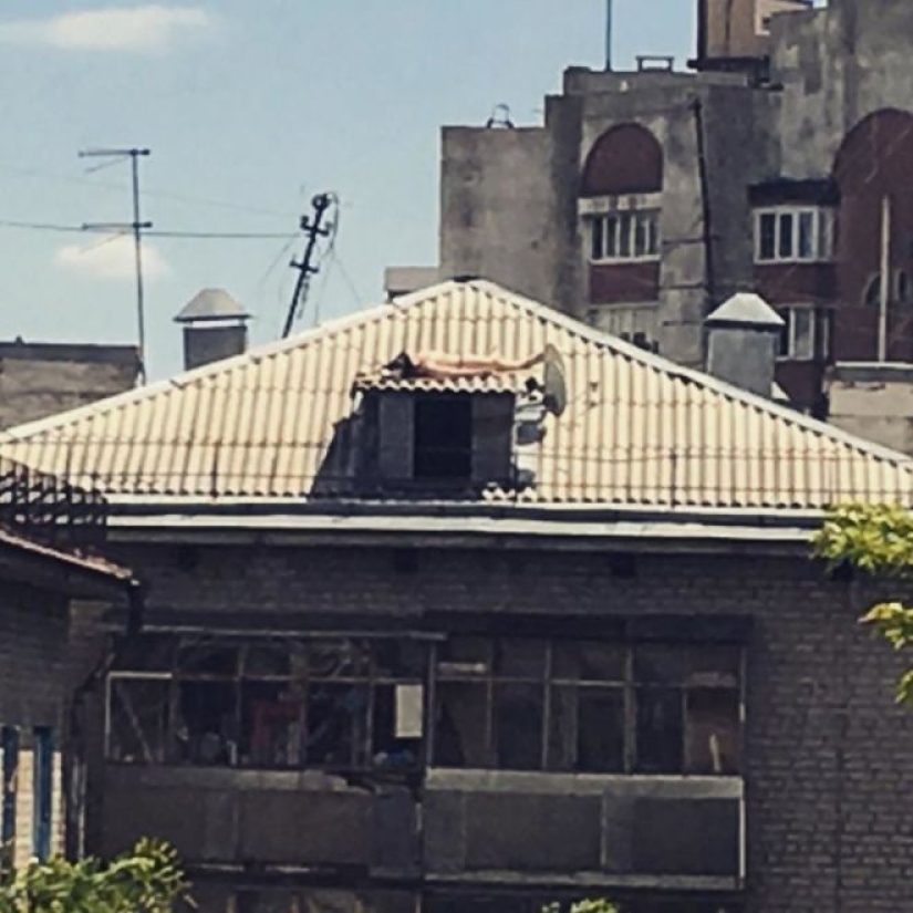 30 examples of extreme sun baths on the roof, in the window and not only