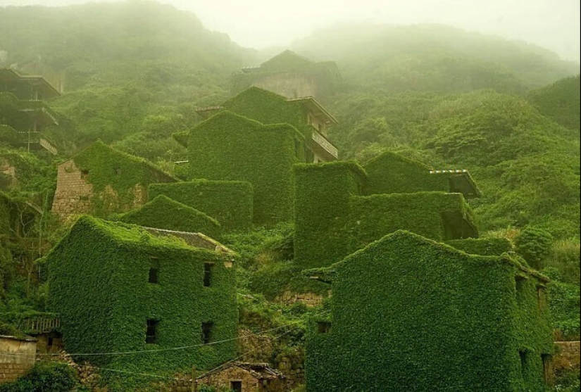 30 examples of how nature winning the battle against civilization