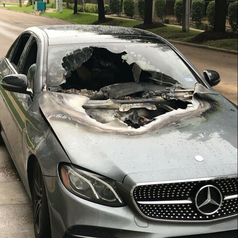 30 examples of what a bad car owner's day looks like