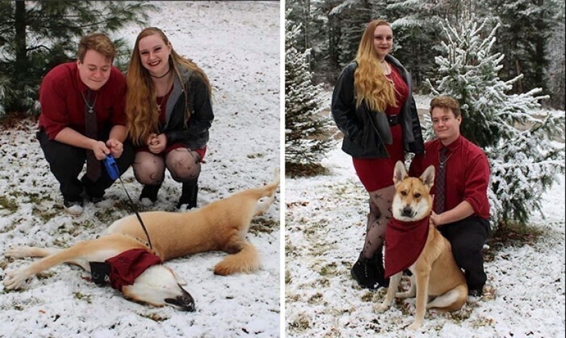 30 family photos who would not be so funny, if not for Sobakina