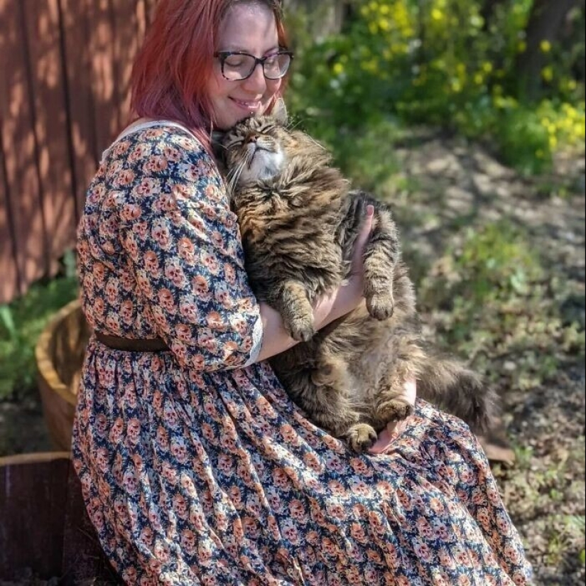 30 fotos conmovedoras de gatos y perros que han encontrado un hogar y una familia