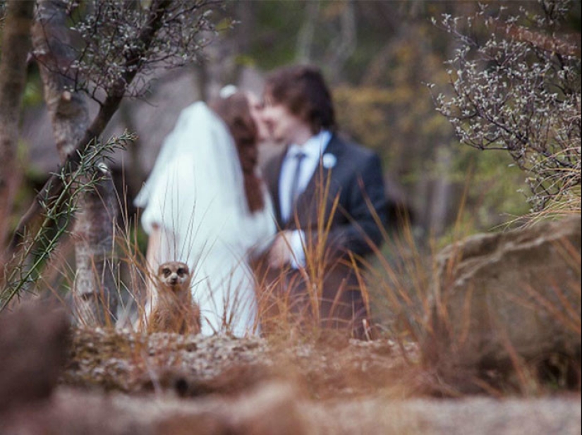 30 fotos de boda irremediablemente jodidas