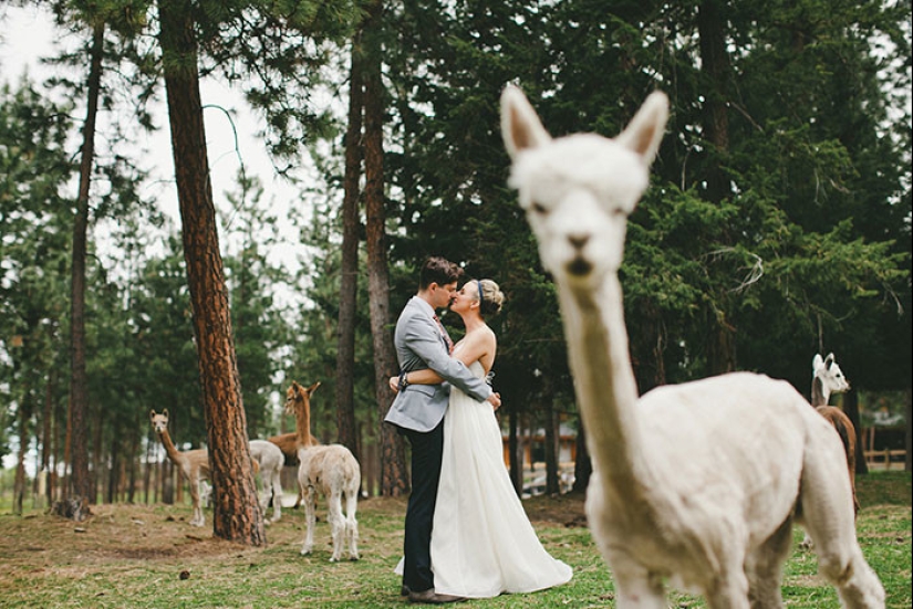 30 fotos de boda irremediablemente jodidas