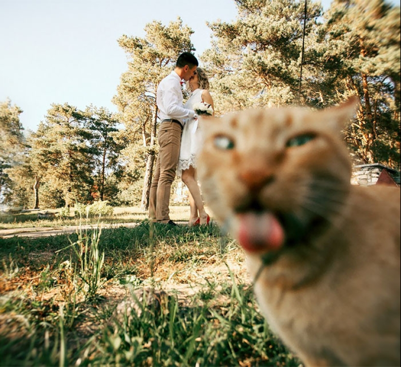 30 fotos de boda irremediablemente jodidas