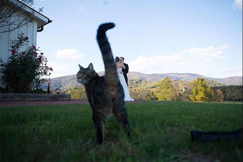 30 fotos de boda irremediablemente jodidas