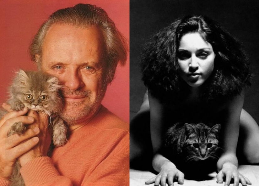 30 fotos de época de celebridades posando con sus personajes favoritos de los gatos