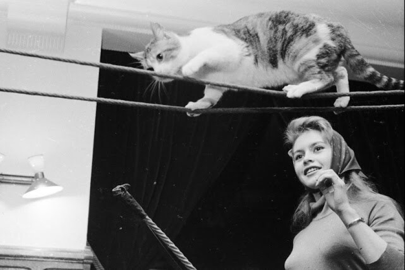 30 fotos de época de celebridades posando con sus personajes favoritos de los gatos