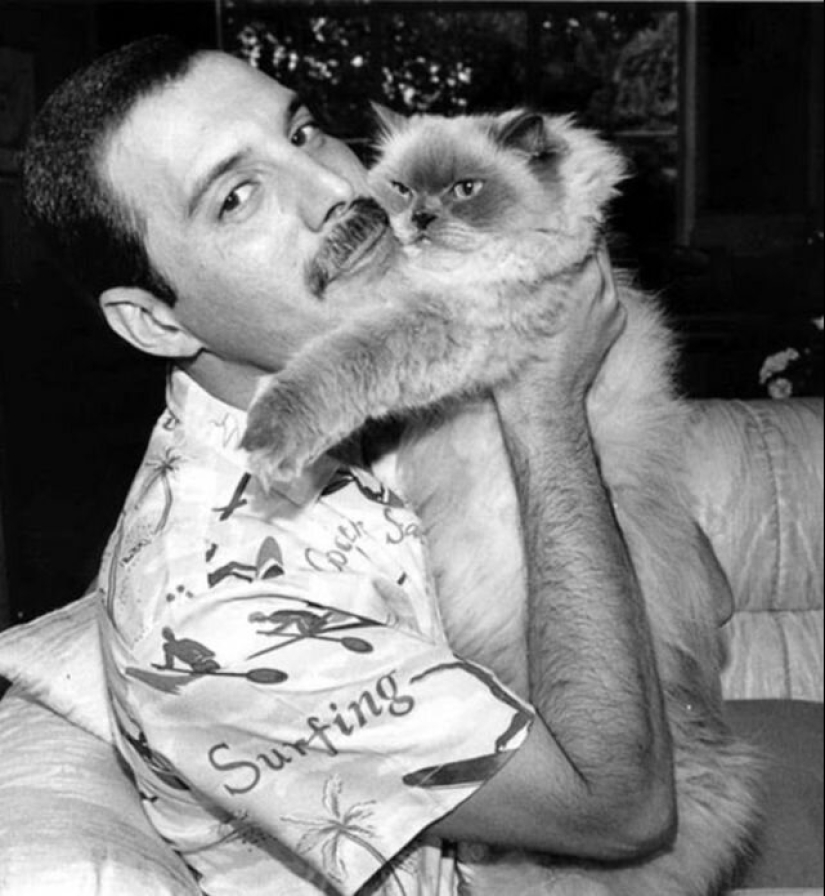 30 fotos de época de celebridades posando con sus personajes favoritos de los gatos