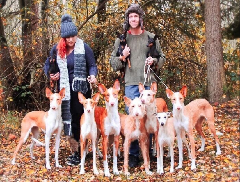 30 fotos de la familia que no sería tan divertido, si no para Sobakina