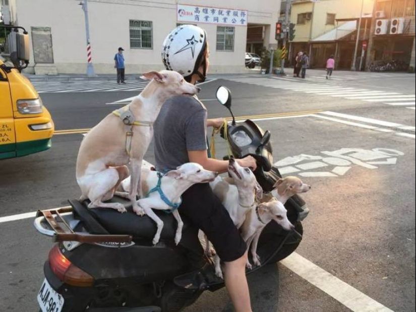 30 fotos demostrando que la región de Asia — otro planeta