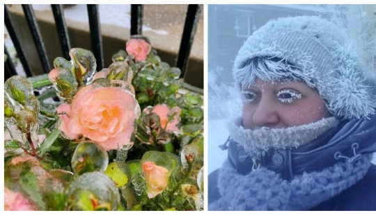 30 fotos frías que muestran claramente todo el poder del duro invierno