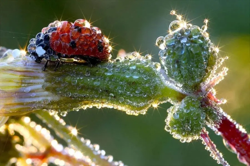 30 fotos increíblemente hermosas que demuestran que la vida es hermosa y sorprendente