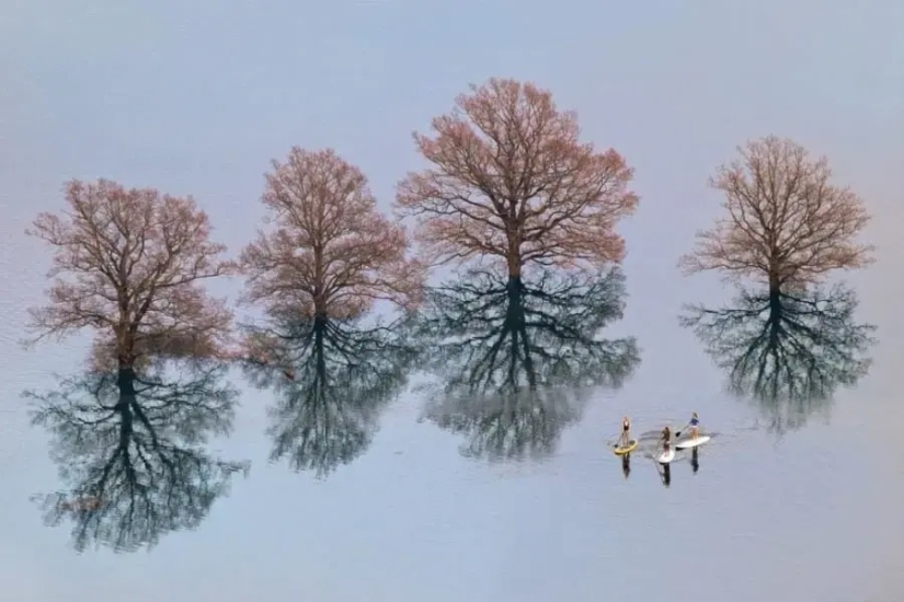 30 fotos increíblemente hermosas que demuestran que la vida es hermosa y sorprendente