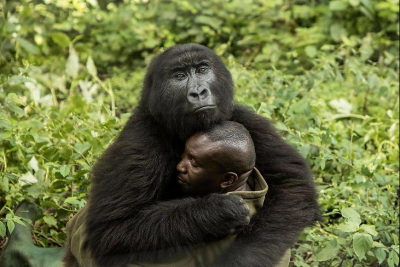 30 fotos sentidas que compensarán la falta de bondad