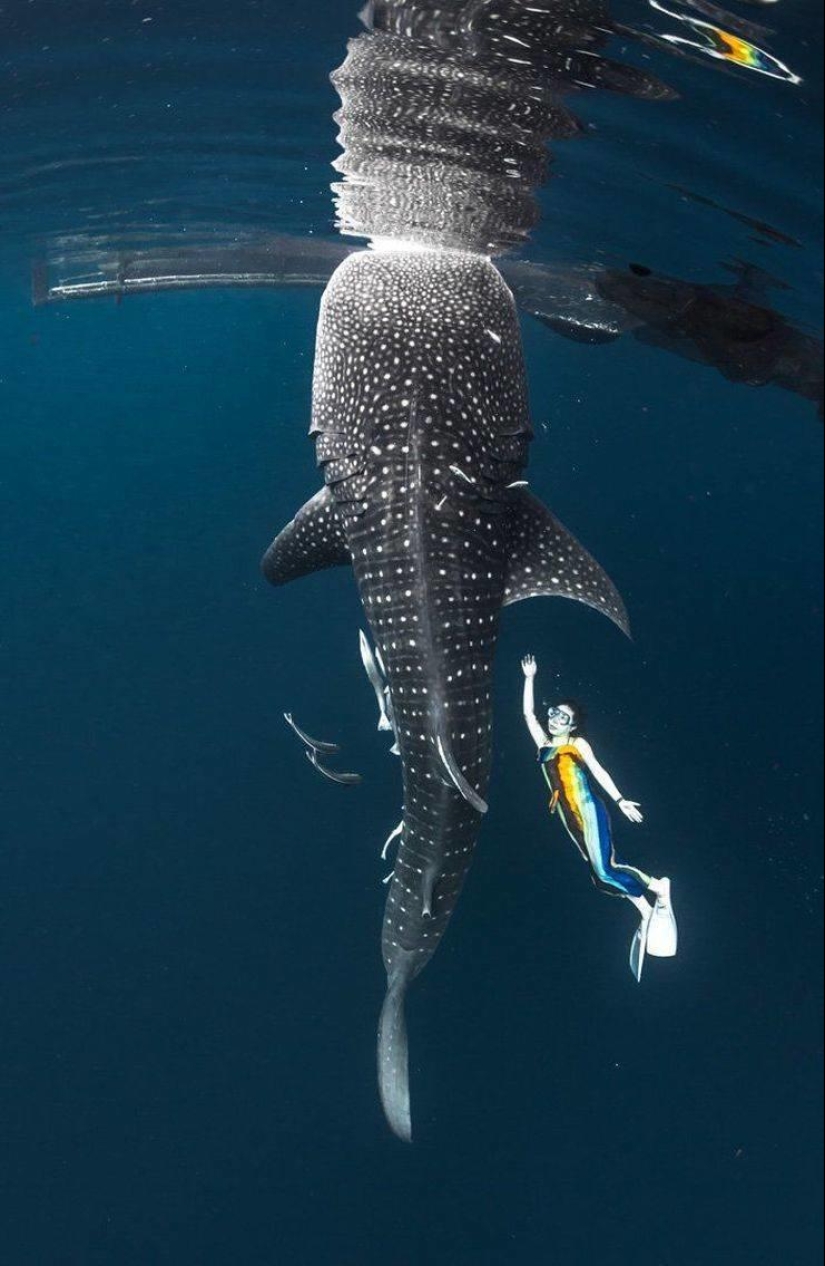 30 fotos sentidas que compensarán la falta de bondad