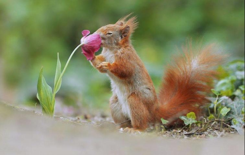 30 fotos sentidas que compensarán la falta de bondad