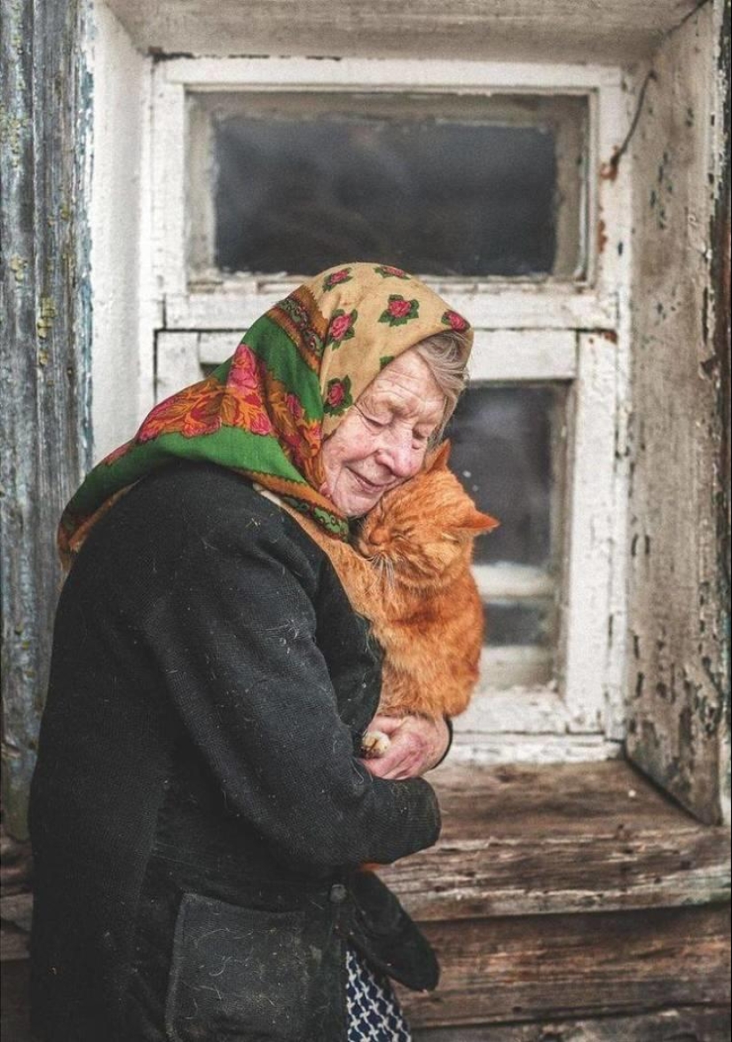 30 fotos sentidas que compensarán la falta de bondad