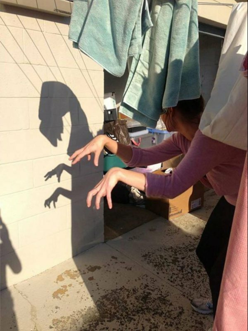 30 funny photos of shadows that look like something else