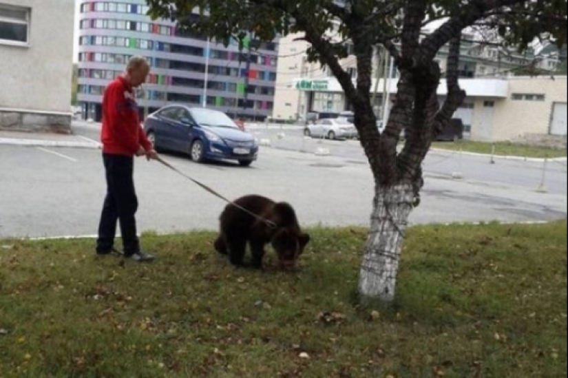 30 funny photos taken somewhere in Russia