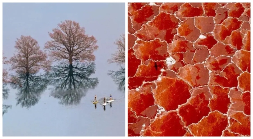 30 incredibly beautiful photos that prove that life is beautiful and amazing