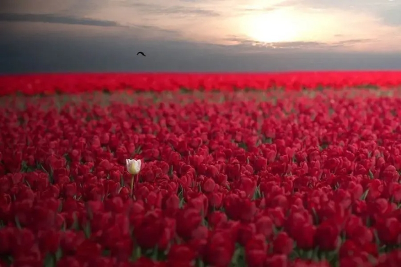 30 incredibly beautiful photos that prove that life is beautiful and amazing