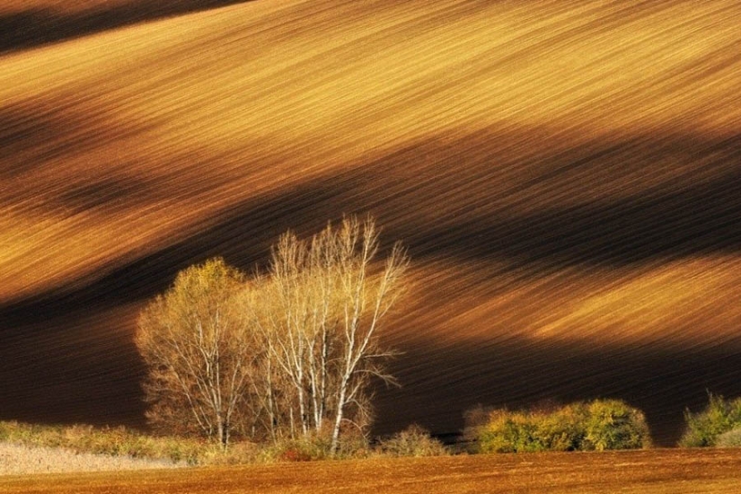 30 incredibly beautiful photos that prove that life is beautiful and amazing