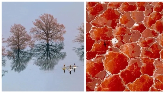 30 incredibly beautiful photos that prove that life is beautiful and amazing