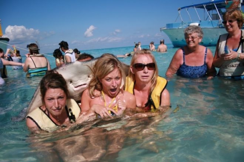 30 "killer" beach photos that will definitely make you laugh to tears