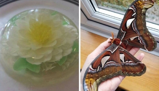 30 people who chose an unusual hobby and carried away no joke