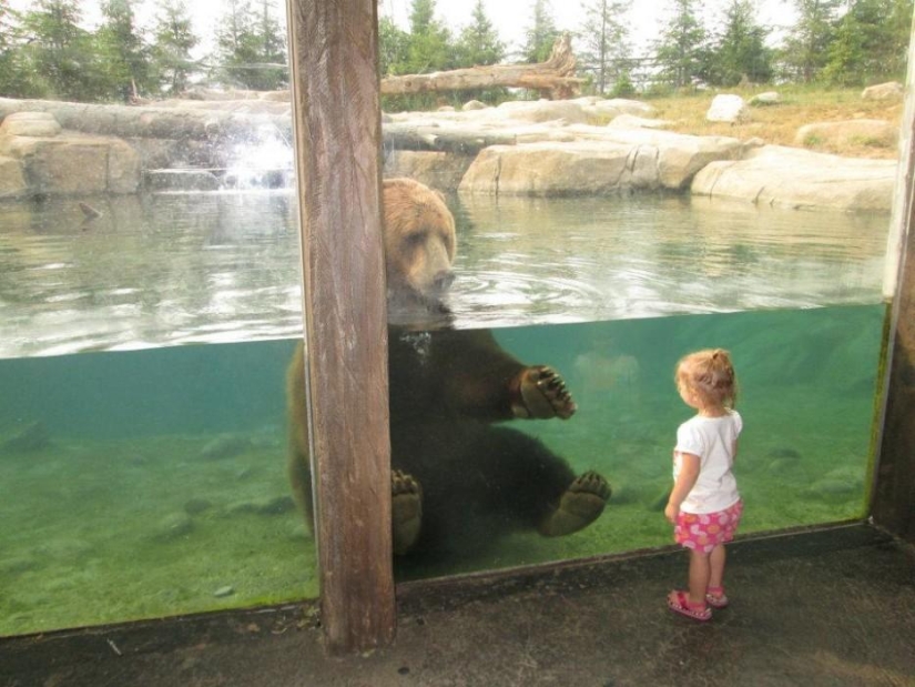 30 people who found friends at the zoo