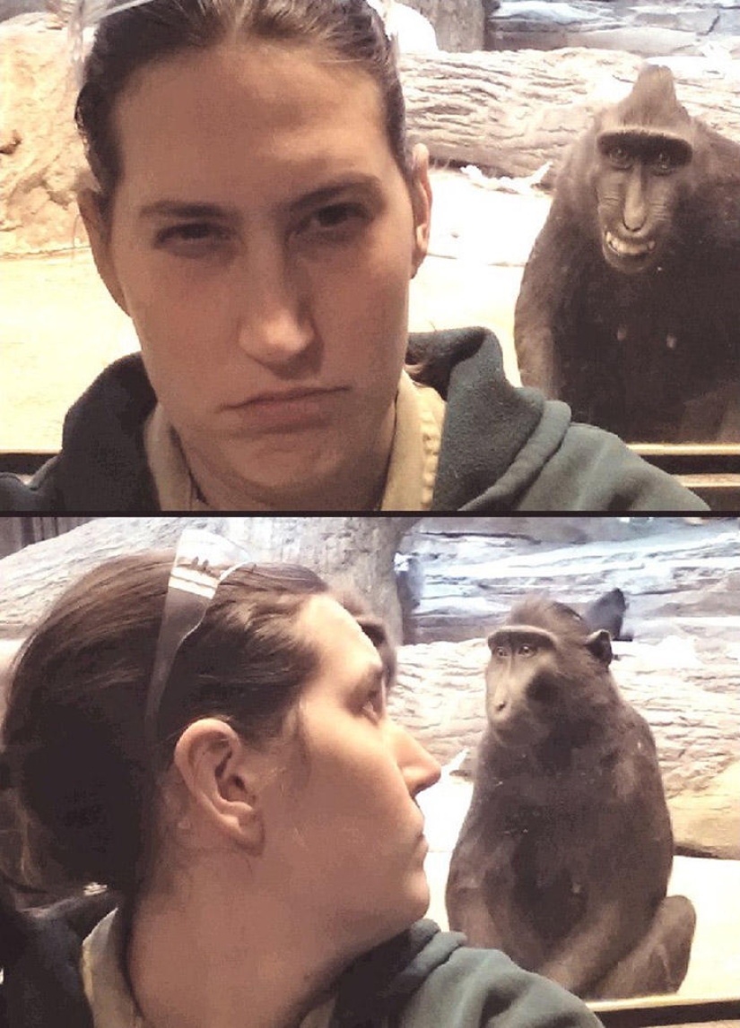 30 people who found friends at the zoo