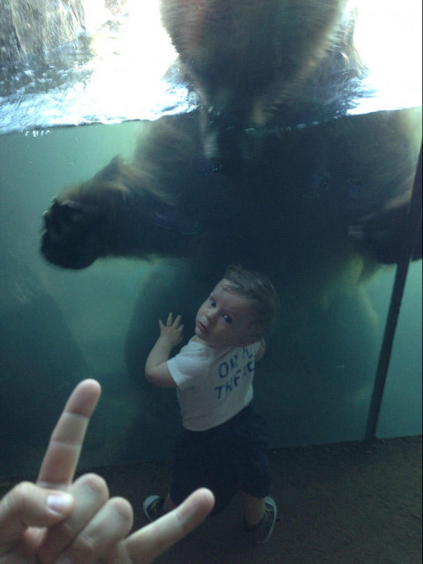 30 people who found friends at the zoo