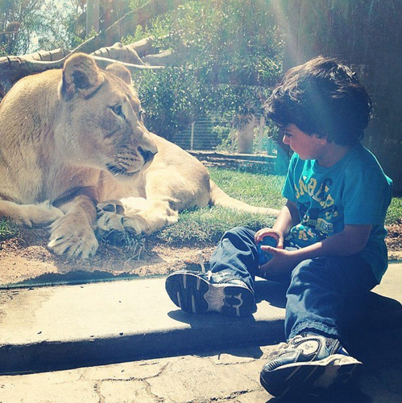 30 people who found friends at the zoo