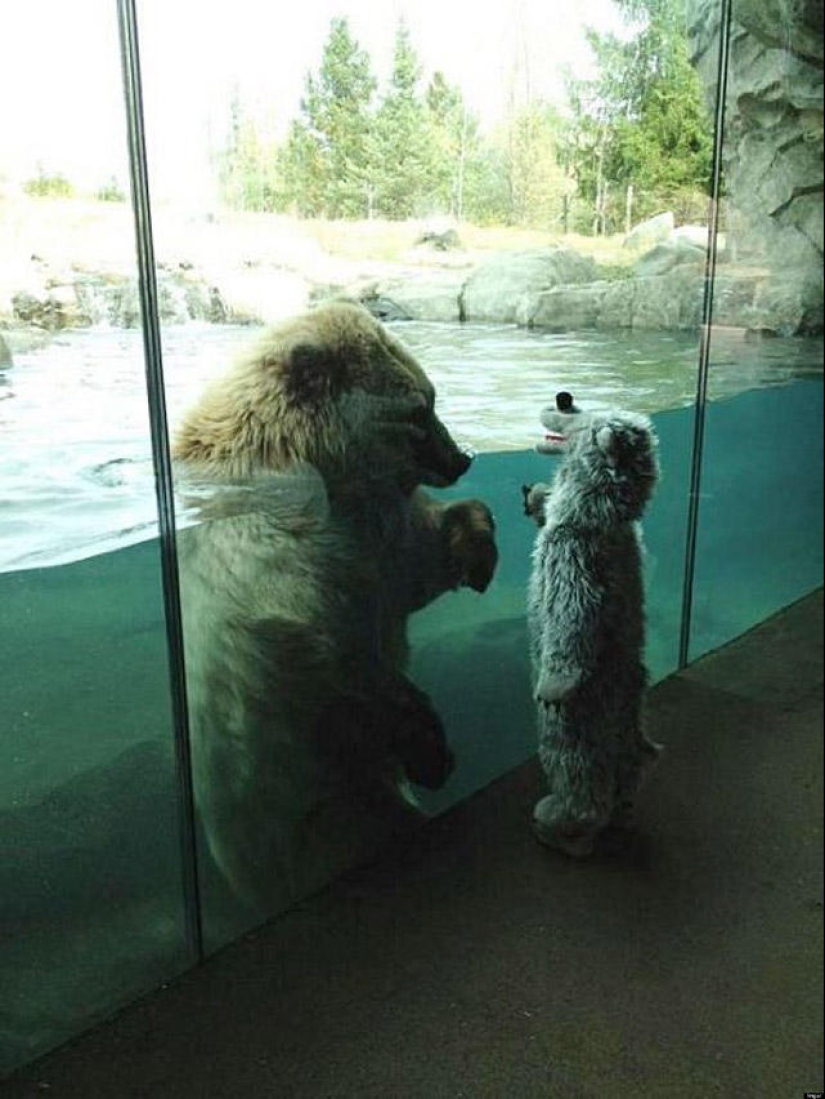 30 people who found friends at the zoo